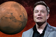 Ілон Маск вигадав ім'я для першого міста на Марсі 