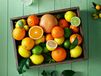 Ціни на апельсини та лимони: як змінилася вартість цитрусових у липні