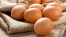 В Украине выросли цены на подсолнечное масло и яйца: как изменилась стоимость