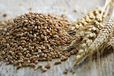 РФ присвоила более 1 700 тонн украинского зерна и агропродукции