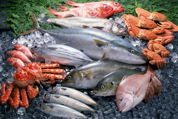 Регіональні рибні страви України