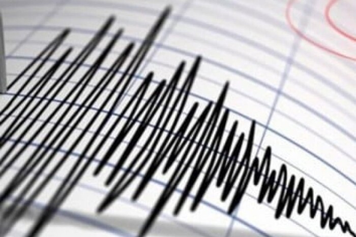 В Украине произошло землетрясение: где был эпицентр