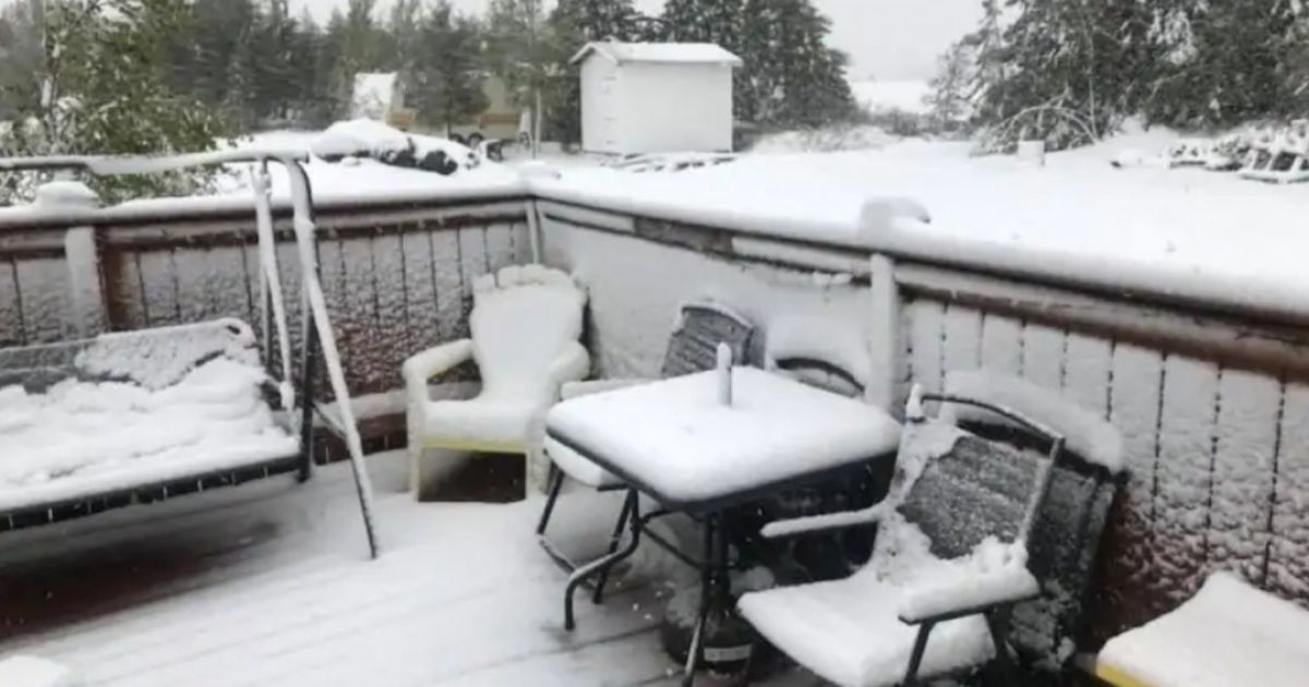 У Канаді за кілька годин випало 12 см снігу