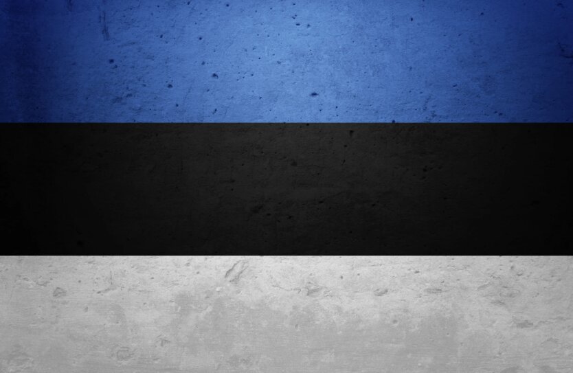Естонія серйозно розглядає можливість відправки військ до України