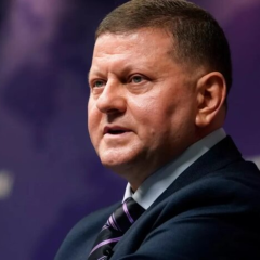 Залужний про помилки України