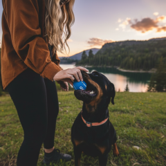 Аномально тепла зима в Україні