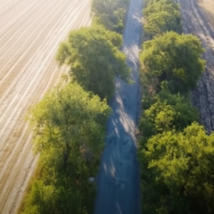 Штрафи за прострочення земельного податку