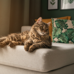 Прогноз погоди в Україні