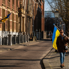 Нідерланди пропонують вид на проживання