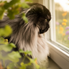 Теплий грудень в Україні