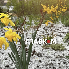 Заморозки 14 апреля: области под угрозой