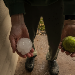 Шторм в Миннесоте: град размером с мяч для гольфа и торнадо на юге штата