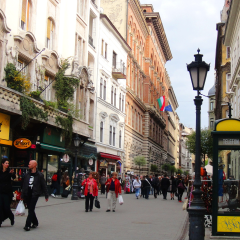 Процесс трудоустройства украинских беженцев в Венгрии