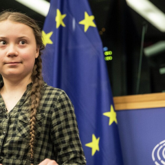 Активисты требуют расследовать деятельность Греты Тунберг