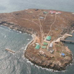 ЗСУ наносять удари по Зміїному