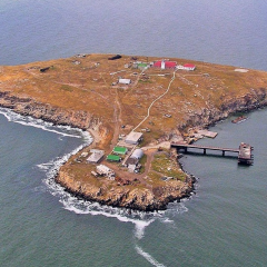 Удар ВСУ по позициям оккупантов на острове Змеиный