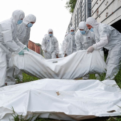 Морг Мелітополя - фахівці з Маріуполя