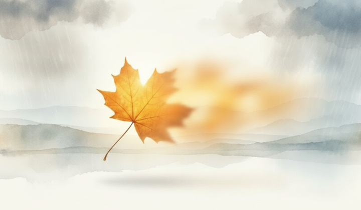 Погода: тепло та туман