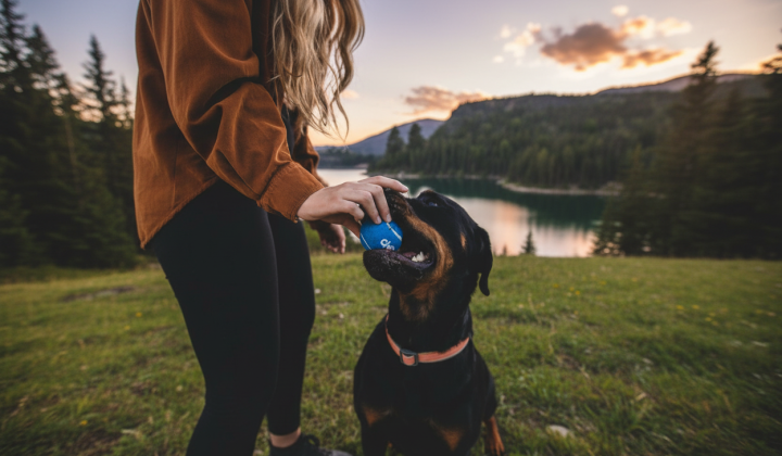 Аномально тепла зима в Україні
