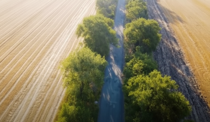 Penalties for land tax delays