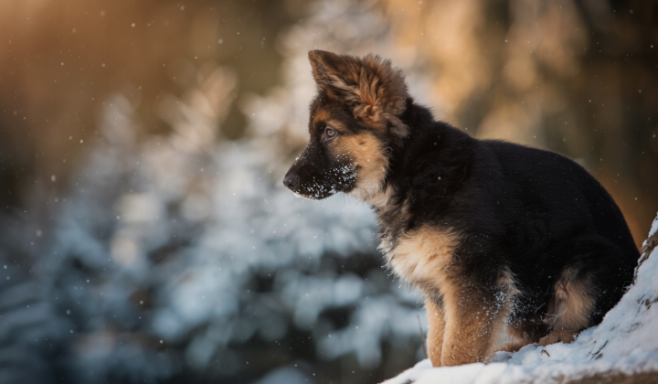 Прогноз погоди в Україні