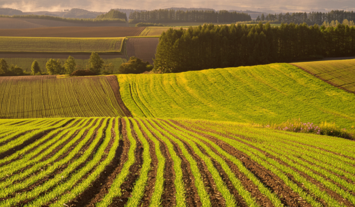 Суборенда землі та договори