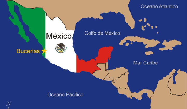 Українські біженці в Мексиці: нове життя