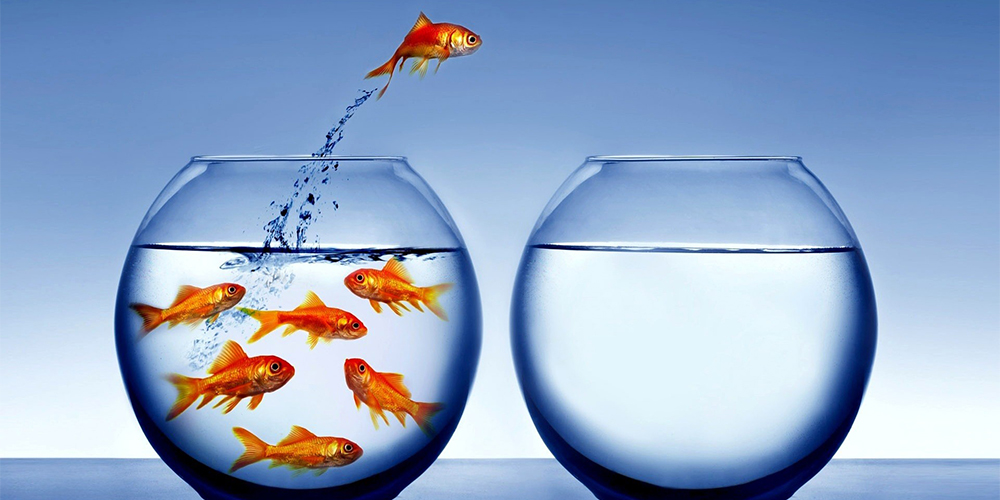 Relocate: what it means