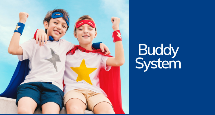 what is buddy system