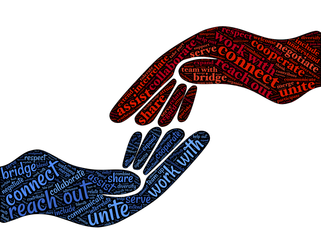 buddy system: roles present