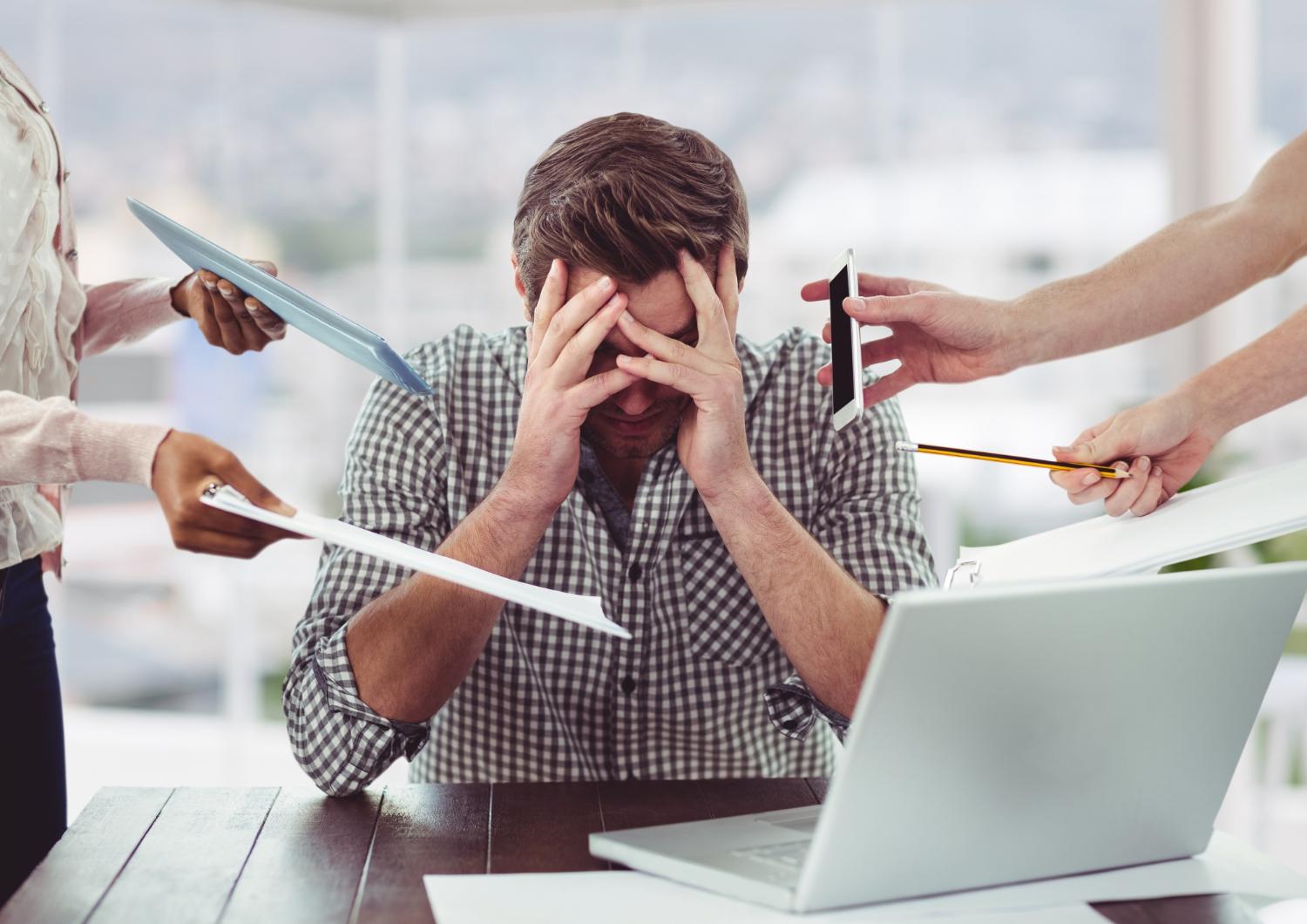 employment acceptance notification sample: who receives it