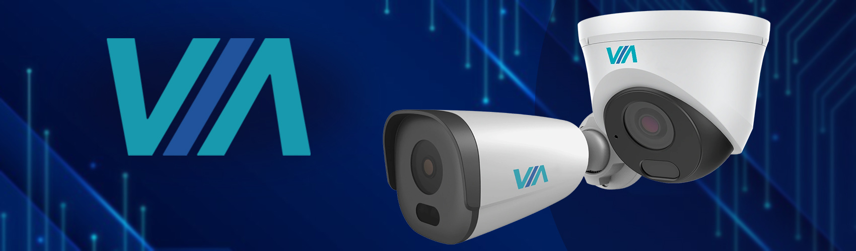 ViaSecurity