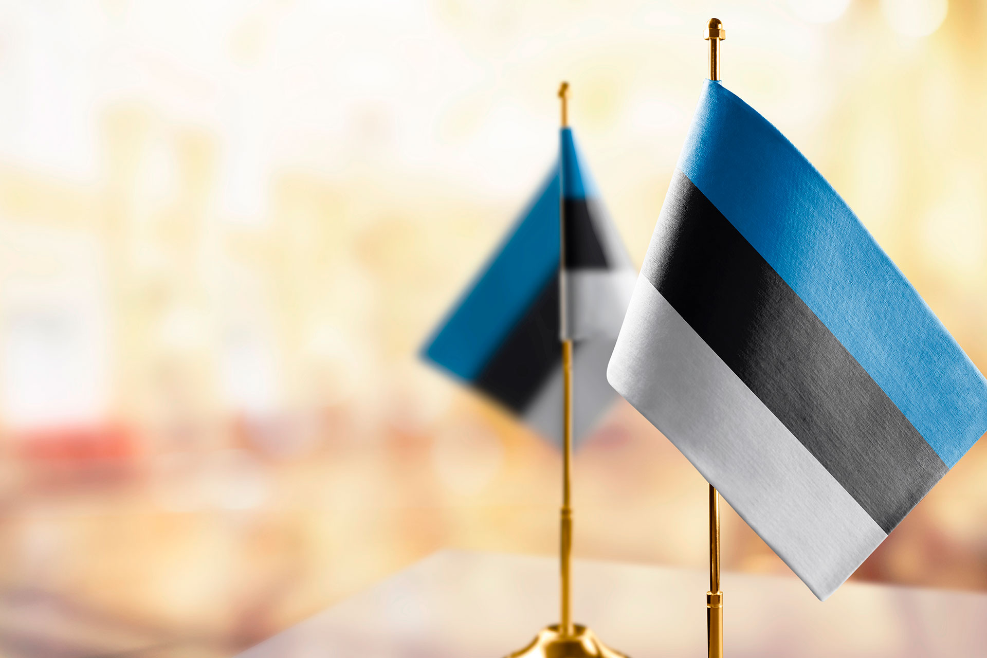 Who Can Be Refused Estonian Citizenship
