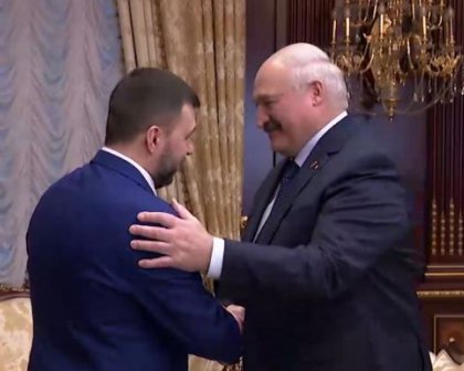 Встреча Лукашенко и Пушилина: в МИД отреагировали