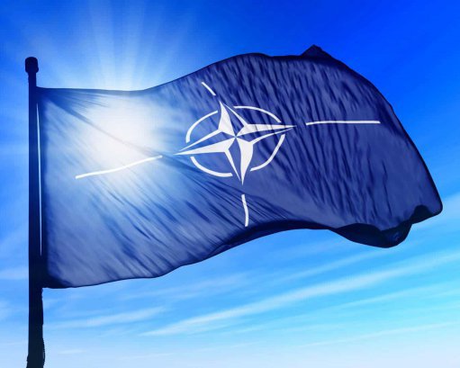 Саміт НАТО охоронятимуть близько тисячі військових ‒  Reuters