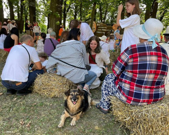 Падіння Московії та вража кров: про що говорили українці на унікальному фестивалі 