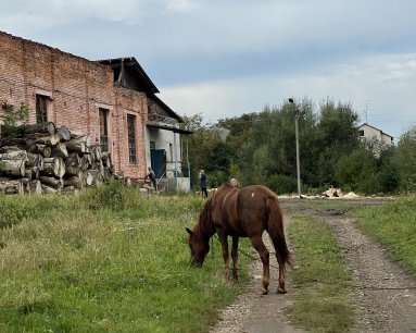 Самый старый завод Европы. Как в Украине добывают 