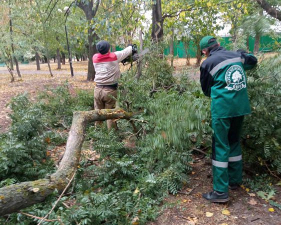 Падають дерева та є загроза вибуху мін: в Одесі вирує шторм