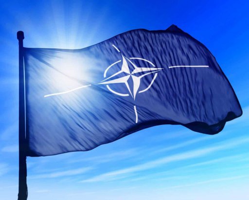 В НАТО сказали, хватит ли ресурсов для поддержки Украины и Израиля