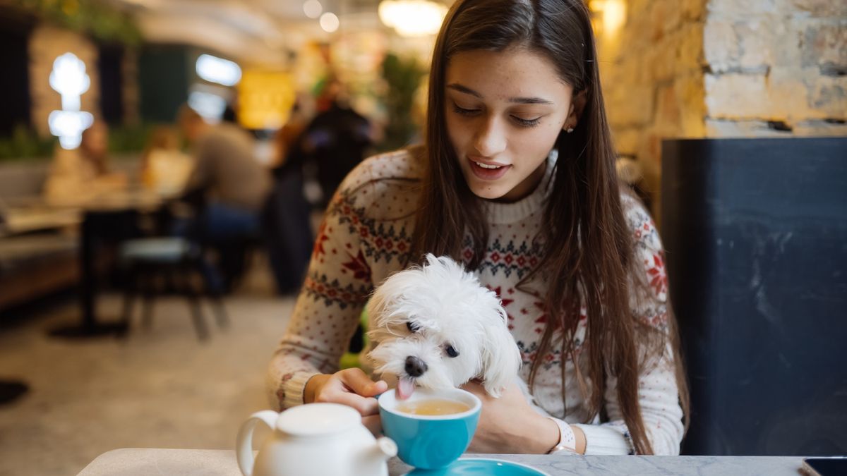 Pet-Friendly in the Company (Pet-Friendly)