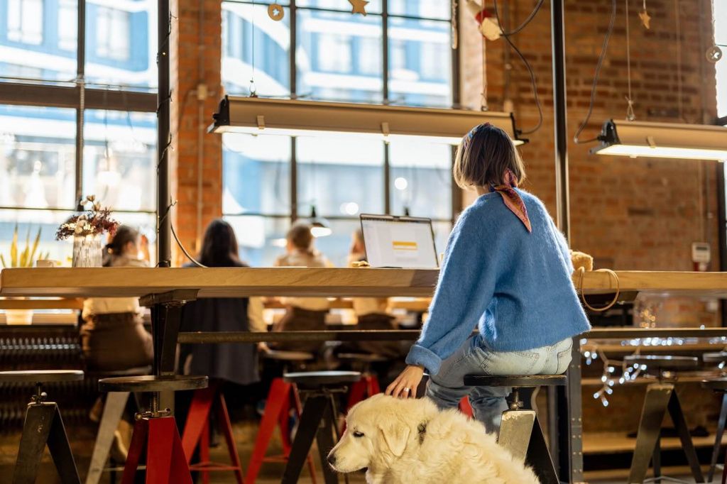 Pet-Friendly in the Company (Pet-Friendly) &ndash; Examples of How It Works