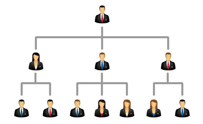Organizational Structure – How the Company Is Built