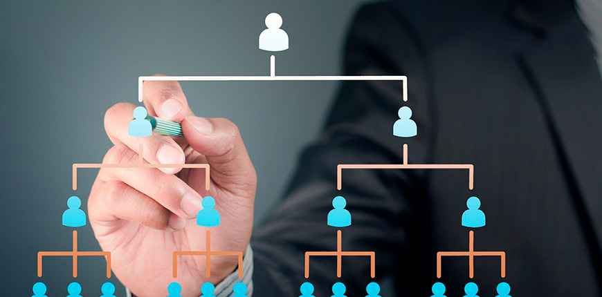 Organizational Structure – How It Looks in Reality