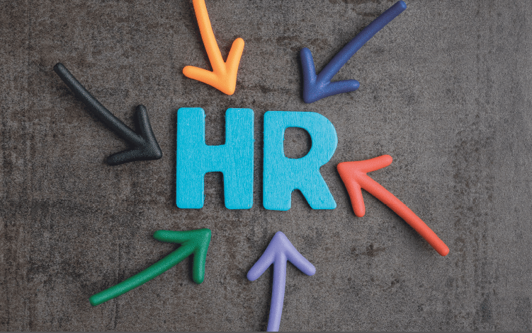 What is HR: Role in the Company 