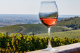 Закарпатское вино получило официальное географическое указание