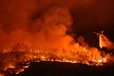 Масштабный лесной пожар в Калифорнии: эвакуировано 13 тыс. человек