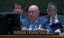 В ISW оценили риски председательства России в Совете Безопасности ООН