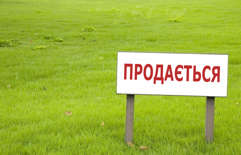 Продажа земли в Одесской области - задача профессионалов