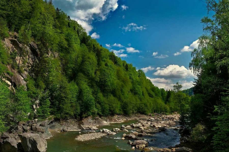 Зимові краєвиди Яремче