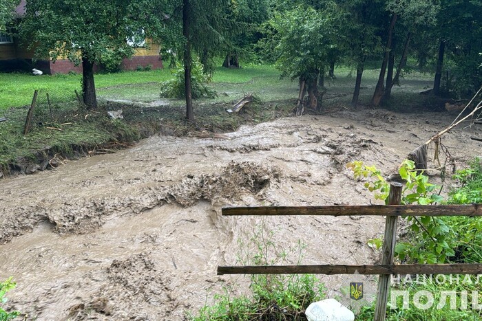 Затоплені вулиці на Закарпатті (фото)